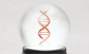 MIT科技评论最新全球十大突破技术：人造胚胎基因占卜上榜
