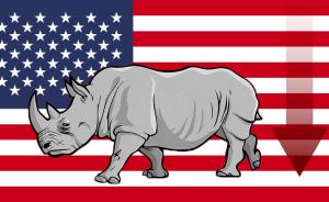 经济痕迹︱最大的“灰犀牛”