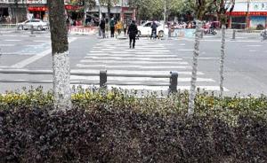 遂宁回应“人行横道直通绿化带”：改造未完工，将清除标线
