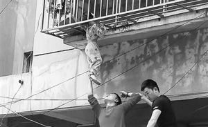 暖闻丨海口3岁女童头卡防盗网悬空，两“托举哥”爬车顶救人