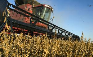 预测：明年巴西或超美国成全球最大大豆生产国