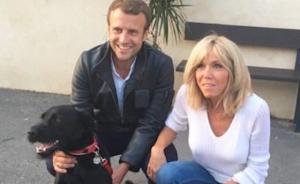成功抢镜！法国第一家庭迎来2岁宠物狗