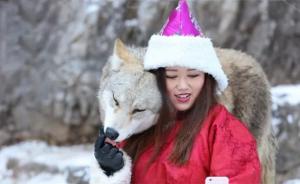 25岁女子在内蒙古草原养狼：能一起摸爬滚打，曾被咬破血管