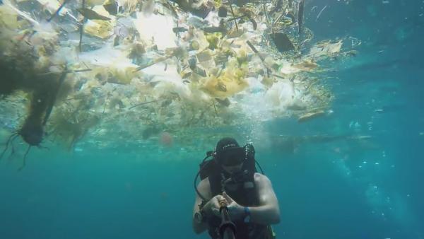 触目惊心：巴厘岛潜水看到的都是垃圾