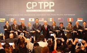 智利等11国签署新版TPP，称是对贸易保护主义的回应