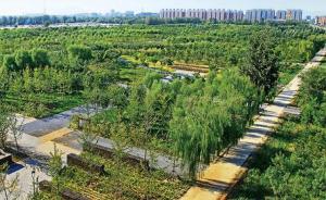 北京将于今春启动新一轮百万亩造林绿化工程