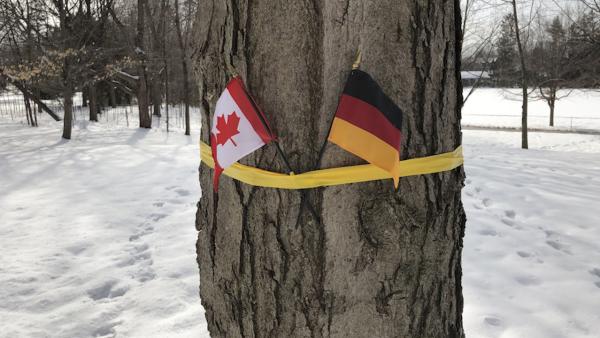大写尴尬：加拿大迎比利时国王却挂错旗