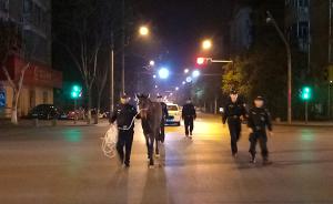 脱缰马儿国道奔跑或被车灯惊吓，杭州警方出动13人护送离开