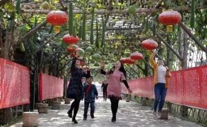西安首届农民节18日开幕，将表彰百个涉农“十佳”先进典型