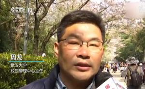 武汉大学：摇樱花树者将加入“黑名单”