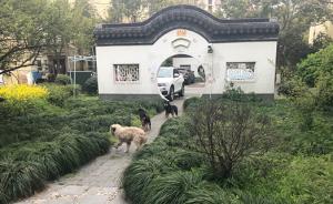 死了17只猫狗的小区又有流浪狗被毒死？上海警方：消息不实