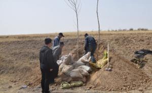 内蒙古一具女性尸骨32年后被盗取配阴婚，3人被刑拘  