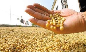 农业农村部、财政部：今年东三省和内蒙古大豆补贴将高于玉米