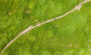 鄱阳湖水位仅比10米枯水线高0.21米，俯瞰成“大草原”