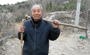 辽宁八旬退休局长举债修路绿化荒山，20年造林两百余公顷