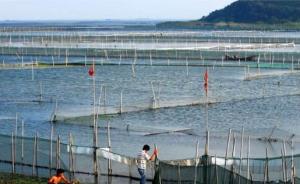 苏州将拆除域内全部太湖养殖围网，不会影响今年大闸蟹产量