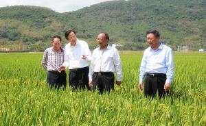农业农村部部长：第四期超级稻攻关已实现目标，要再接再厉