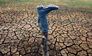 国际智库报告︱粮食和水资源危机是全球智库关注的重点