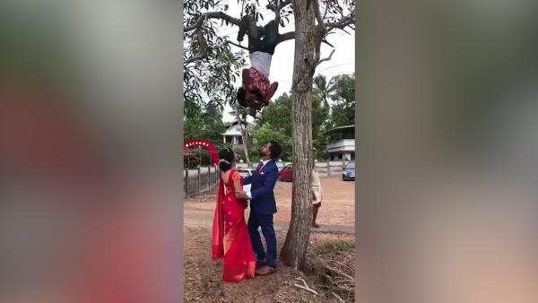 别具一格：印度小哥倒挂树上拍婚礼照
