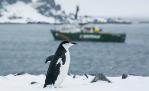 南极考察记：始终没能见到心心念念的帝企鹅