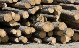 美环保署定义木材为碳中性燃料，环保组织和能源专家表示谴责