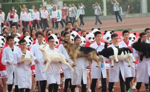 四川高校学生带“动物标本”上运动会：有猫有狗还有小猪佩奇