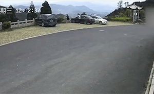 温州一男子停车，一脚油门奔驰冲下山坡