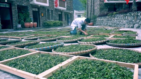 汶川地震十周年丨映秀的茶文化品牌经营