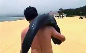 广东海陵岛扛走伪虎鲸尸体当事游客到案，将被依法依规处理