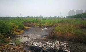 安徽亳州：广州白云山中药亳州公司渗坑排污，影响污水厂运行