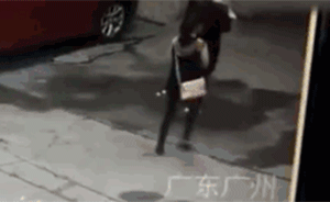 广州一女子被天降大狗砸断颈椎面临高位截瘫，肇事狗消失