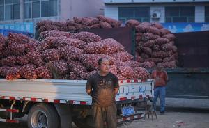 个别产区大蒜价格跌至十年最低，云南部分农民直接放弃采收