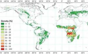 我国发布国际最高分辨率“火烧迹地”分布图，有助气候研究