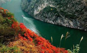 生态环境部：将全面排查长江沿线自然保护地违法违规开发活动