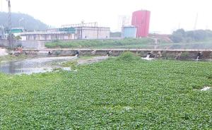多省被指漏报工业园水污染防治进展，广东：66家未报将核查
