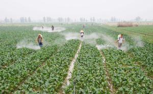 北京拟评“职业农民”职称，小城镇将禁搞大规模商品房开发