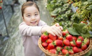 问答｜带孩子摘草莓怕不干净，会不会吃进农药？