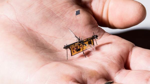 首个无线飞行机器昆虫：给束激光就能飞