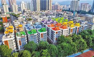 深圳水围村29栋“农民房”变身人才公寓，政府半价对外配租