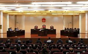 广东一恶势力犯罪集团获终审裁决：驳回上诉，父子分别获刑