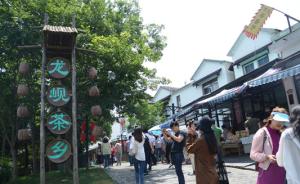 【美丽中国长江行】重新规划茶树种植，南京打造生态黄龙岘