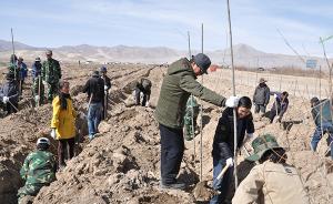 西藏噶尔的“绿色战役”：两年投资1.5亿，消除“无树户”