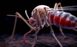国家卫健委官员：中国即将全面消除疟疾