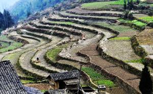 中国农地“三权分置”的形成逻辑与实施政策（上）