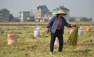 中国农地“三权分置”的形成逻辑与实施政策（下）