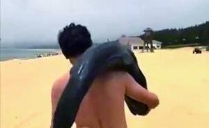 广东通报游客扛走疑似海豚：确系伪虎鲸，警方对涉事男子立案