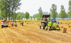 河南：按照国家统一部署，今年将积极恢复大豆生产