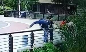 苏州男子逛动物园顺手掏8颗鸟蛋，涉嫌盗猎被拘留7天