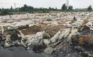 泰兴官方表态：深刻反思，确保明年6月底前滨江污泥处置到位