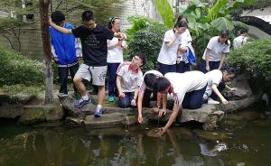 杭州一中学组织学生比赛钓小龙虾：清理校园池塘也为备考减压